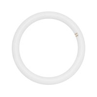LED-Lampe CIRCOLINE G10q 16W 1550lm 3000K 120° - Bild 1