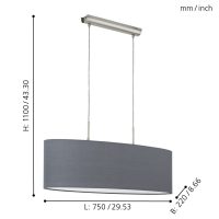 Eglo PASTERI Hängeleuchte Nickel-Matt. 2-flammig - Bild 4
