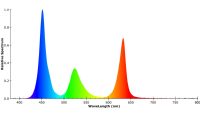 LED Flexband AQUA COB RGB+Warmweiß 3000K IP68 wasserdicht, 24V, 20W/m, 896 LED/m, 5m Rolle - Bild 4