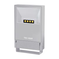 Flutlichtstrahler 7025 POLAR 0 (AR) 30W 3000K Grau asymmetrisch mittelstrahlend input 240Vac - Bild 1