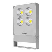 Flutlichtstrahler 7029 POLAR 4 (CR) 220W Ambra Silber symmetrisch engstrahlend DALI - Bild 1