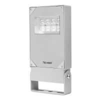 Flutlichtstrahler 7036 POLAR 1M (A5) 30W Ambra Silber asymmetrisch breitstrahlend DALI - Bild 1