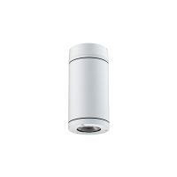Wandleuchte 7055 ARIS (S6) 20W 4000K Weiß symmetrisch mittelstrahlend DALI 2 - Bild 1