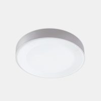 Wand- und Deckenleuchte 7012 ZOE (G3) 15W 3000K Grau symmetrisch weitstrahlend em. 1h - Bild 1