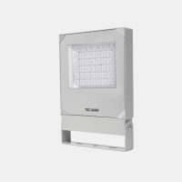 Flutlichtstrahler 7038 IPADEL (PD) 80W 5000K Silber symmetrisch breitstrahlend DALI - Bild 2