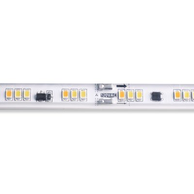 LED-Streifen DURASTRIP HiVolt CCT + DIM TO WARM 1m 120V 18003000K