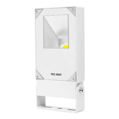 Flutlichtstrahler 7026 POLAR 1 (AR) 30W 3000K Weiß asymmetrisch breitstrahlend DALI 2