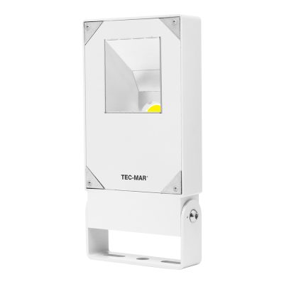 Flutlichtstrahler 7026 POLAR 1 (RR) 50W 4000K Weiß asymmetrisch tiefstrahlend DALI