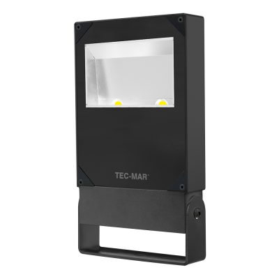Flutlichtstrahler 7027 POLAR 2 (AR) 100W 3000K Anthrazit asymmetrisch breitstrahlend DALI 2
