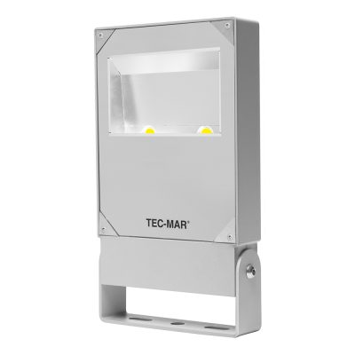 Flutlichtstrahler 7027 POLAR 2 (AR) 100W 5000K Silber asymmetrisch breitstrahlend DALI 2