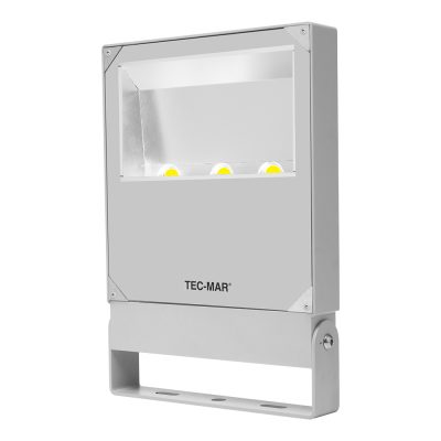 Flutlichtstrahler 7031 POLAR HE (AR) 100W 3000K Anthrazit asymmetrisch mittelstrahlend DALI