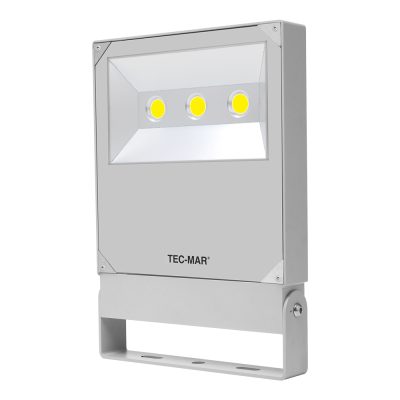 Flutlichtstrahler 7031 POLAR HE (PR) 130W Ambra Grau symmetrisch breitstrahlend DALI