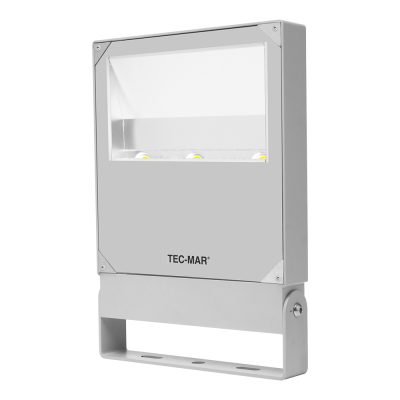 Flutlichtstrahler 7031 POLAR HE (RR) 50W 4000K CRI 70 Silber asymmetrisch breitstrahlend Glas satiniert