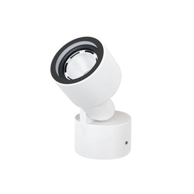 Flutlichtstrahler 7051 SNAP (C3) 10W 2700K Weiß symmetrisch engstrahlend on/off