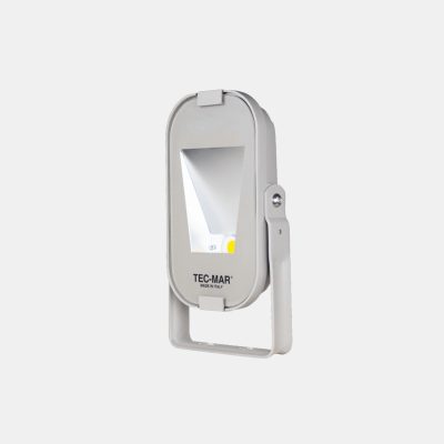 Flutlichtstrahler 8029 LORDINO (AR) 20W 3000K Anthrazit asymmetrisch mittelstrahlend DALI 2
