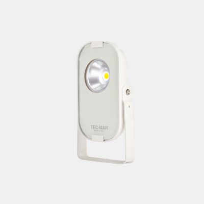 Flutlichtstrahler 8029 LORDINO (CR) 20W 6500K Anthrazit symmetrisch engstrahlend DALI 2