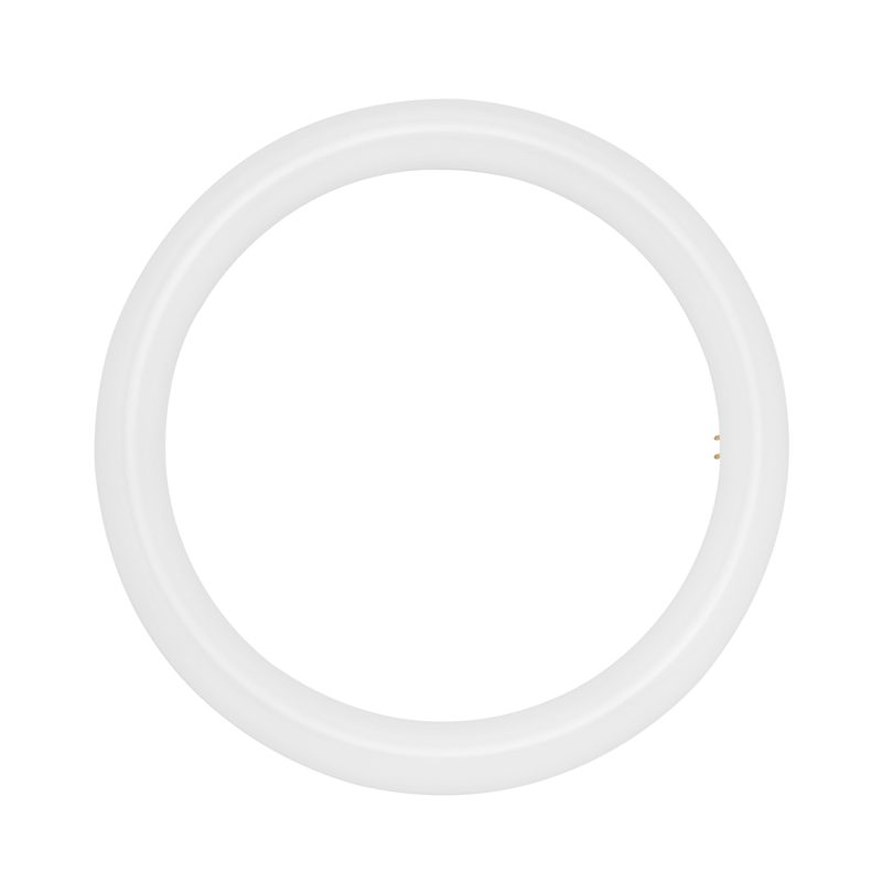 LED-Lampe CIRCOLINE G10q 19.5W 2100lm 6500K 120° - Bild 1