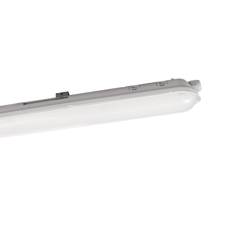 LED-WL/DL L-1180 GRAUSTUDIO IP65 ECO S - Bild 1