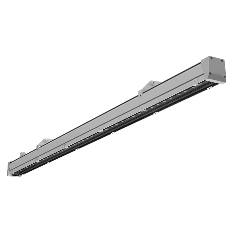 Fassadenstrahler 3005 GIOTTO XF (E1) 16W 3000K Silber asymmetrisch elliptischstrahlend DALI - Bild 1